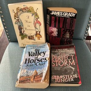 Lot of 4 adult reading pleasure books/novels